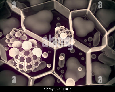 Des cellules de graisse et des macrophages, champ de cellules adipeuses, de haute qualité de rendu 3D de cellules graisseuses, la structure de la molécule Banque D'Images