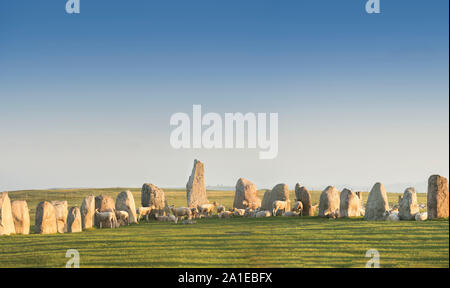 Mouton à l'ancienne Ale's Stones navire Définition de l'âge du fer, près de Kaseberga Ystad, Skane, Suède. Scandinavie Banque D'Images