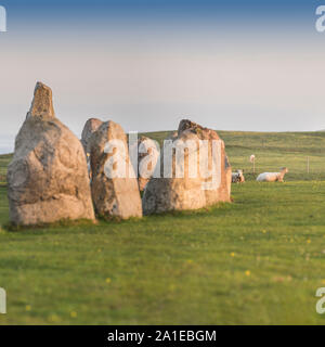 Mouton à l'ancienne Ale's Stones navire Définition de l'âge du fer, près de Kaseberga Ystad, Skane, Suède. Scandinavie Banque D'Images