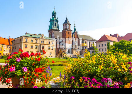 Vue d'été du complexe du Château Royal de Wawel à Cracovie, Pologne. C'est le plus important site historique et culturel en Pologne. Des fleurs sur un foregro Banque D'Images