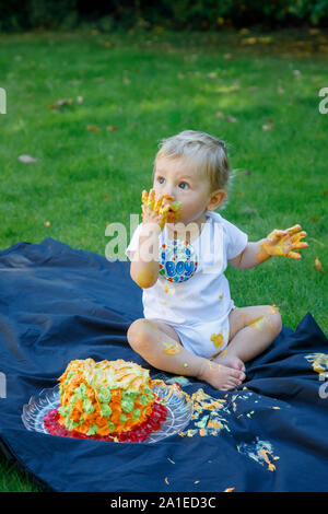 Un adorable petit garçon aime célébrer son premier anniversaire lors d'une fête avec un gâteau aux couleurs vives d'un smash gâteau glacé à l'extérieur dans le jardin Banque D'Images