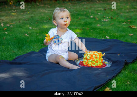 Un adorable petit garçon aime célébrer son premier anniversaire lors d'une fête avec un gâteau aux couleurs vives d'un smash gâteau glacé à l'extérieur dans le jardin Banque D'Images