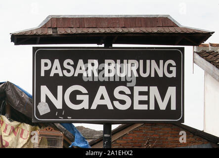 NGASEM Pasar, Burung, marché aux oiseaux, Yogyakarta, Java, Indonésie Banque D'Images