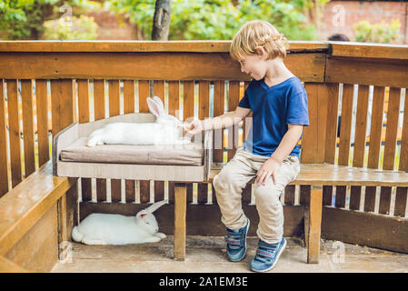 Bébé garçon caresses et jouer avec le lapin dans le zoo pour enfants. concept de durabilité, l'amour de la nature, le respect pour le monde et l'amour pour les animaux Banque D'Images