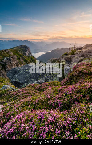 Abendstimmung am Thunersee und Niederhorn Spiez mit Banque D'Images