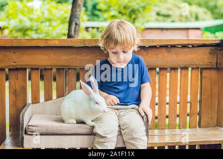 Bébé garçon caresses et jouer avec le lapin dans le zoo pour enfants. concept de durabilité, l'amour de la nature, le respect pour le monde et l'amour pour les animaux Banque D'Images