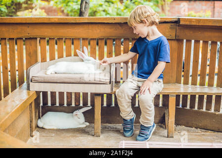 Bébé garçon caresses et jouer avec le lapin dans le zoo pour enfants. concept de durabilité, l'amour de la nature, le respect pour le monde et l'amour pour les animaux Banque D'Images