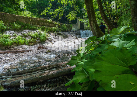 Axée sur la nature de la vallée de la 'réserve Ferriere ' à Amalfi (Italie) Banque D'Images