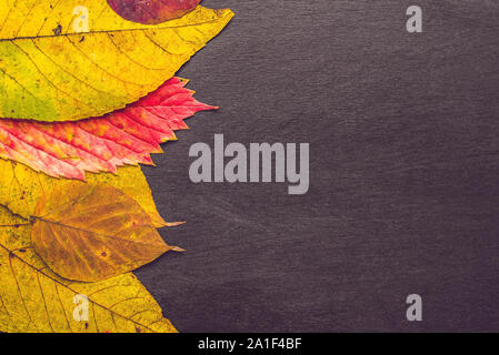 Les feuilles d'automne sur fond de bois avec l'exemplaire de l'espace. Banque D'Images