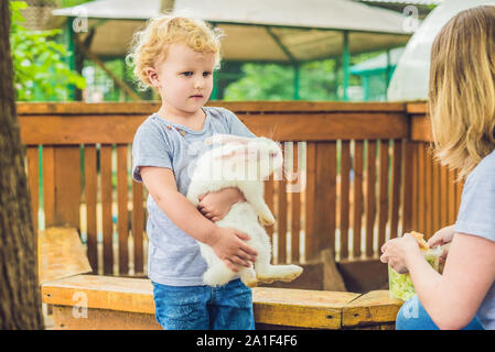 Bébé fille caresses et jouer avec le lapin dans le zoo pour enfants. concept de durabilité, l'amour de la nature, le respect pour le monde et l'amour pour l'animal Banque D'Images