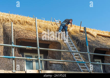 Un travail thatcher sur une échelle sur un toit d'une maison de village à réparer et à renouveler le chaume et le remplacement de la crête Banque D'Images