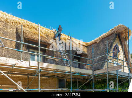 Un travail thatcher sur une échelle sur un toit d'une maison de village à réparer et à renouveler le chaume et le remplacement de la crête Banque D'Images