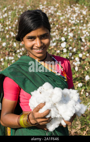 L'INDE, le Madhya Pradesh, Khargone , cooperative Shiv Krishi Utthan Sanstha produire du coton biologique et du commerce équitable, des femmes tribales de coton de la récolte à la main / INDIEN, le Madhya Pradesh, Khargone , Kooperative Shiv Krishi Utthan Sanstha vermarktet und fairtrade Biobaumwolle Farmern von Frauen Adivasi Adivasi, pfluecken Baumwolle par Main Banque D'Images