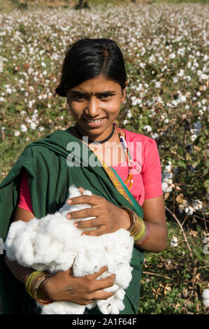 L'INDE, le Madhya Pradesh, Khargone , cooperative Shiv Krishi Utthan Sanstha produire du coton biologique et du commerce équitable, des femmes tribales de coton de la récolte à la main / INDIEN, le Madhya Pradesh, Khargone , Kooperative Shiv Krishi Utthan Sanstha vermarktet und fairtrade Biobaumwolle Farmern von Frauen Adivasi Adivasi, pfluecken Baumwolle par Main Banque D'Images