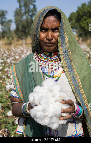 L'INDE, le Madhya Pradesh, Khargone , cooperative Shiv Krishi Utthan Sanstha produire du coton biologique et du commerce équitable, des femmes tribales de coton de la récolte à la main / INDIEN, le Madhya Pradesh, Khargone , Kooperative Shiv Krishi Utthan Sanstha vermarktet und fairtrade Biobaumwolle Farmern von Frauen Adivasi Adivasi, pfluecken Baumwolle par Main Banque D'Images