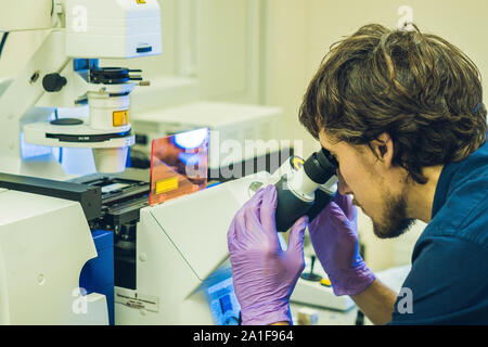 Le travail scientifique sur un microscope à balayage confocal dans un laboratoire d'échantillons biologiques de l'enquête. Banque D'Images