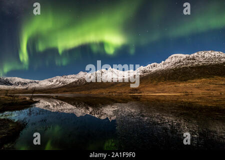 Aurora Borealis, northern lights, des rideaux de couleur active,coronas, se déplaçant à travers ciel nocturne ,cercle arctique, l'île de Kvaloya Tromso Norvège 2018 best Banque D'Images