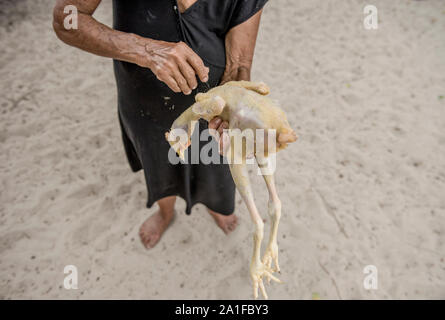 Vieille Femme à plumer le poulet pour le déjeuner dans Lencois Maranhenses Banque D'Images