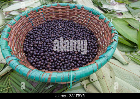 Les baies d'Acai à Belem street market Banque D'Images