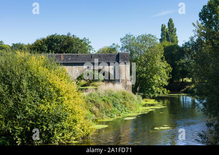 Vue de la rivière Stour, Stour Meadows, Blandford Forum, par un après-midi ensoleillé, Dorset, UK Banque D'Images