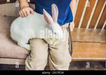 Bébé garçon caresses et jouer avec le lapin dans le zoo pour enfants. concept de durabilité, l'amour de la nature, le respect pour le monde et l'amour pour les animaux Banque D'Images