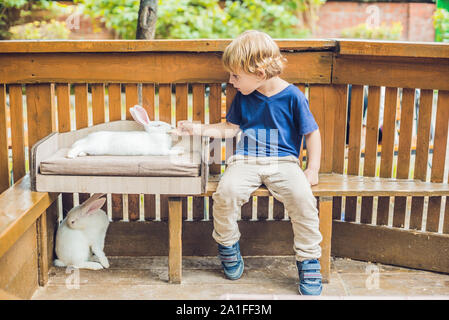 Bébé garçon caresses et jouer avec le lapin dans le zoo pour enfants. concept de durabilité, l'amour de la nature, le respect pour le monde et l'amour pour les animaux Banque D'Images