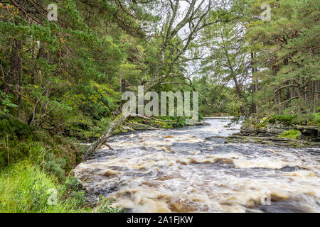 Rivière Dee, Linn de Dee, Mar Lodge Estate, Aberdeenshire, Scotland Banque D'Images