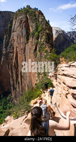 Haut de l'Angels Landing dans le Zion National Park, Utah, USA Banque D'Images