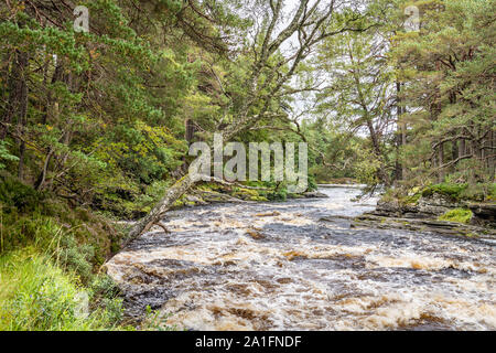 Rivière Dee, Linn de Dee, Mar Lodge Estate, Aberdeenshire, Scotland Banque D'Images