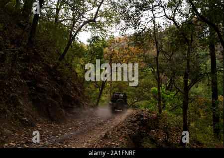 Montée sur le chemin de forêt Kanda Rest House, où Jim Corbett séjourné quand après le maneating Kanda tiger, Corbett Park, Uttarakhand, Inde Banque D'Images