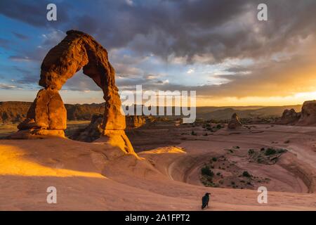 Delicate Arch, de l'Utah Banque D'Images