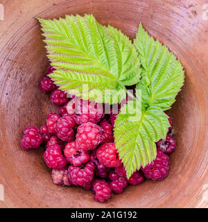 Framboises juteuses couché dans un bol avec trois feuilles vertes Banque D'Images