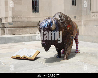 Biblio-Bison Statue en bronze à l'entrée de la Bibliothèque publique d'Indianapolis, Indiana, USA, le 26 juillet 2019, © Katharine Andriotis Banque D'Images