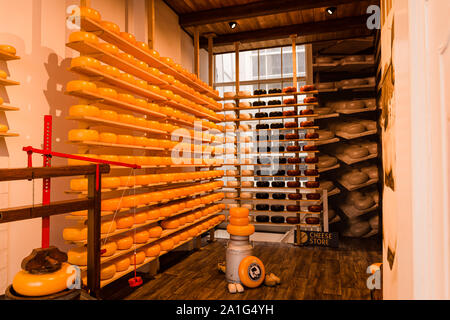 Dutch cheese shop avec des fromages dans l'emballage noir et jaune Banque D'Images