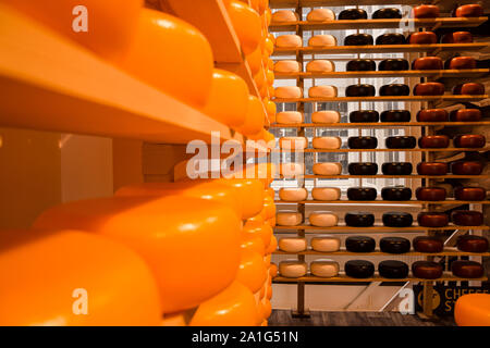 Dutch cheese shop avec des fromages dans l'emballage noir et jaune Banque D'Images