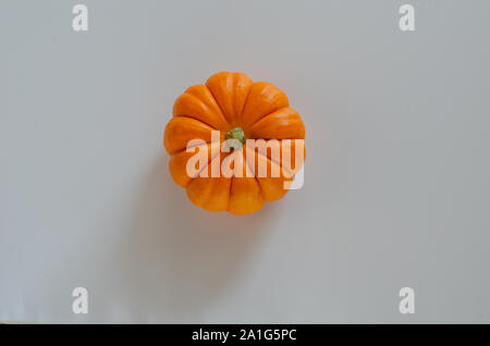 Fresh orange citrouille sur le fond blanc en automne,vue d'en haut. Banque D'Images