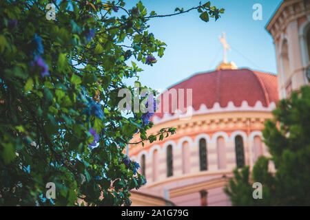 Thessaloniki-Greece, le 17 septembre 2019 : des fleurs et un dôme de flou artistique en arrière-plan sur l'église Banque D'Images