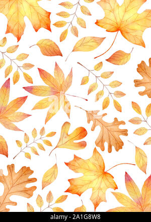 La flore de la forêt, l'automne leafage aquarelle sans trame. L'érable, le chêne d'or et feuilles d'orme d'arrière-plan décoratif. Herbier botanique de l'automne, de l'arb Banque D'Images