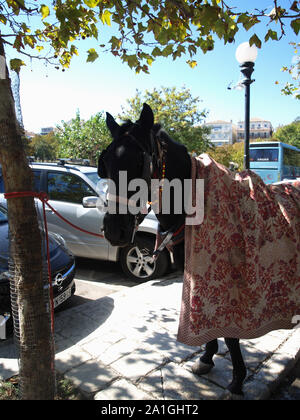 Cheval et des promenades en calèche dans le parc à la place de la Spianada, Corfu Town, Kerkyra, Grèce Banque D'Images