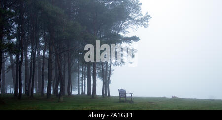 Un banc au sommet d'une colline avec une forêt d'arbres derrière, silhouetté par le brouillard de l'atmosphère sur une journée l'hiver. Banque D'Images