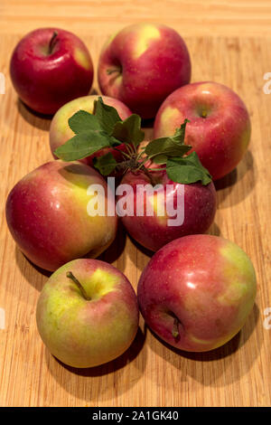 Les pommes sur une planche à découper, par James D Coppinger/ Dembinsky Assoc Photo Banque D'Images