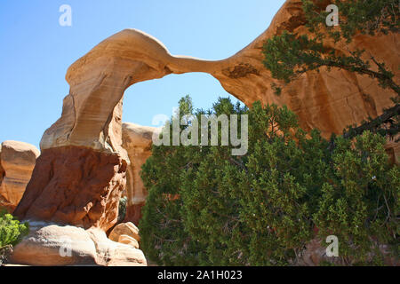 Metate Arch dans Devil's Garden, Utah Banque D'Images