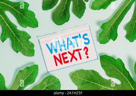 Signe texte montrant ce qui s suivant. Photo d'entreprise demande de texte tout ce qui vient immédiatement après l'actuel Banque D'Images