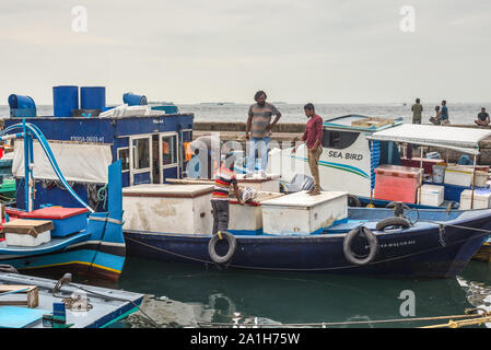 Male, Maldives - Le 16 novembre 2017 : Salon de poissons frais par temps nuageux à Male, Maldives. Les pêcheurs sur un bateau se préparent à fournir de gros Banque D'Images