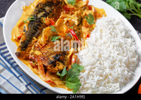 Close-up de poisson au curry jaune, curry Panang avec Saba maquereau grillé poisson servi avec riz long grain cuit à la vapeur sur une plaque sur une table en béton Banque D'Images
