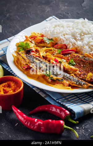 Saba grillé, curry Panang curry jaune avec le maquereau poisson servi avec riz long grain cuit à la vapeur sur une plaque sur une table en béton, vue verticale de abov Banque D'Images