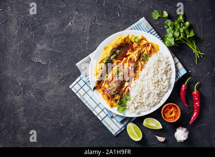 Poisson au Curry jaune, curry Panang avec Saba maquereau grillé poisson servi avec riz long grain cuit à la vapeur sur une plaque sur une table en béton, vue de dessus, f Banque D'Images
