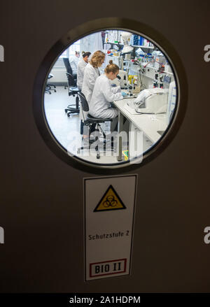 Hambourg, Allemagne. 25 Septembre, 2019. Les chercheurs travaillent à l'Hôpital universitaire d'Eppendorf à Hambourg (UKE) dans un laboratoire de recherche en biologie moléculaire. Les scientifiques de l'UKE, vous voulez en savoir plus sur les causes des maladies cardiovasculaires grâce à une analyse détaillée du matériel génétique. Crédit : Daniel Bockwoldt/dpa/Alamy Live News Banque D'Images