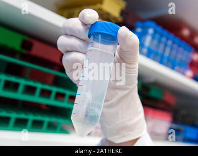 Hambourg, Allemagne. 25 Septembre, 2019. Traitement de l'ADN réagit avec de l'alcool dans un laboratoire de recherche à l'Hôpital universitaire d'Eppendorf à Hambourg (UKE). Les scientifiques de l'UKE, vous voulez en savoir plus sur les causes des maladies cardiovasculaires grâce à une analyse détaillée du matériel génétique. Crédit : Daniel Bockwoldt/dpa/Alamy Live News Banque D'Images