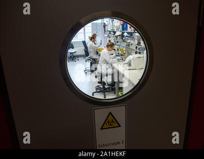 Hambourg, Allemagne. 25 Septembre, 2019. Les chercheurs travaillent à l'Hôpital universitaire d'Eppendorf à Hambourg (UKE) dans un laboratoire de recherche en biologie moléculaire. Les scientifiques de l'UKE, vous voulez en savoir plus sur les causes des maladies cardiovasculaires grâce à une analyse détaillée du matériel génétique. Crédit : Daniel Bockwoldt/dpa/Alamy Live News Banque D'Images